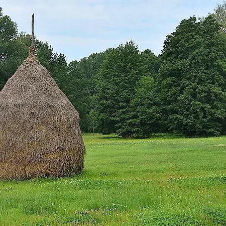 Apartamento Schrebenza