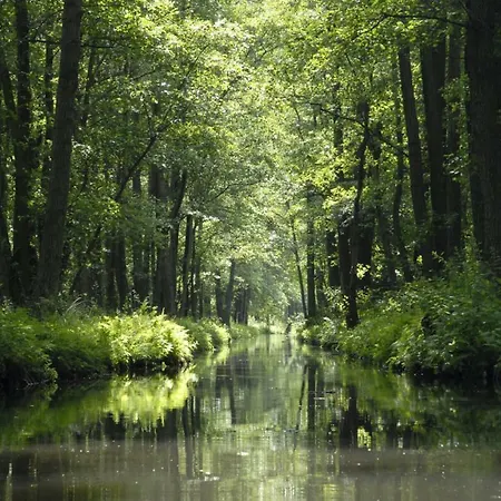 Schrebenza Apartamento *